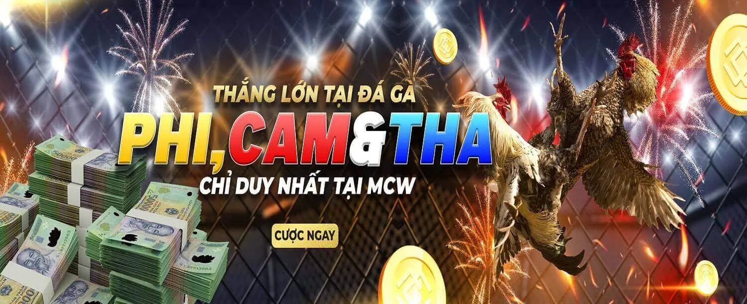 đá gà trực tiếp casino